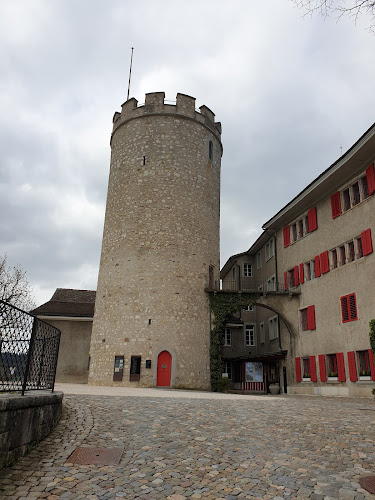 Rezensionen über Stiftung Schloss Regensberg in Bülach - Museum