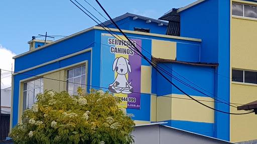 Servicios Caninos BUENOS HÁBITOS QUITO