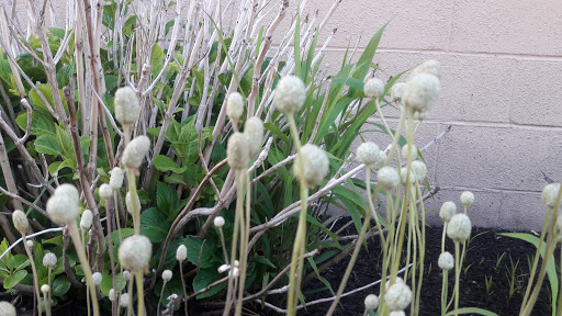 Event Venue «Larkin Square», reviews and photos, 745 Seneca St, Buffalo, NY 14210, USA