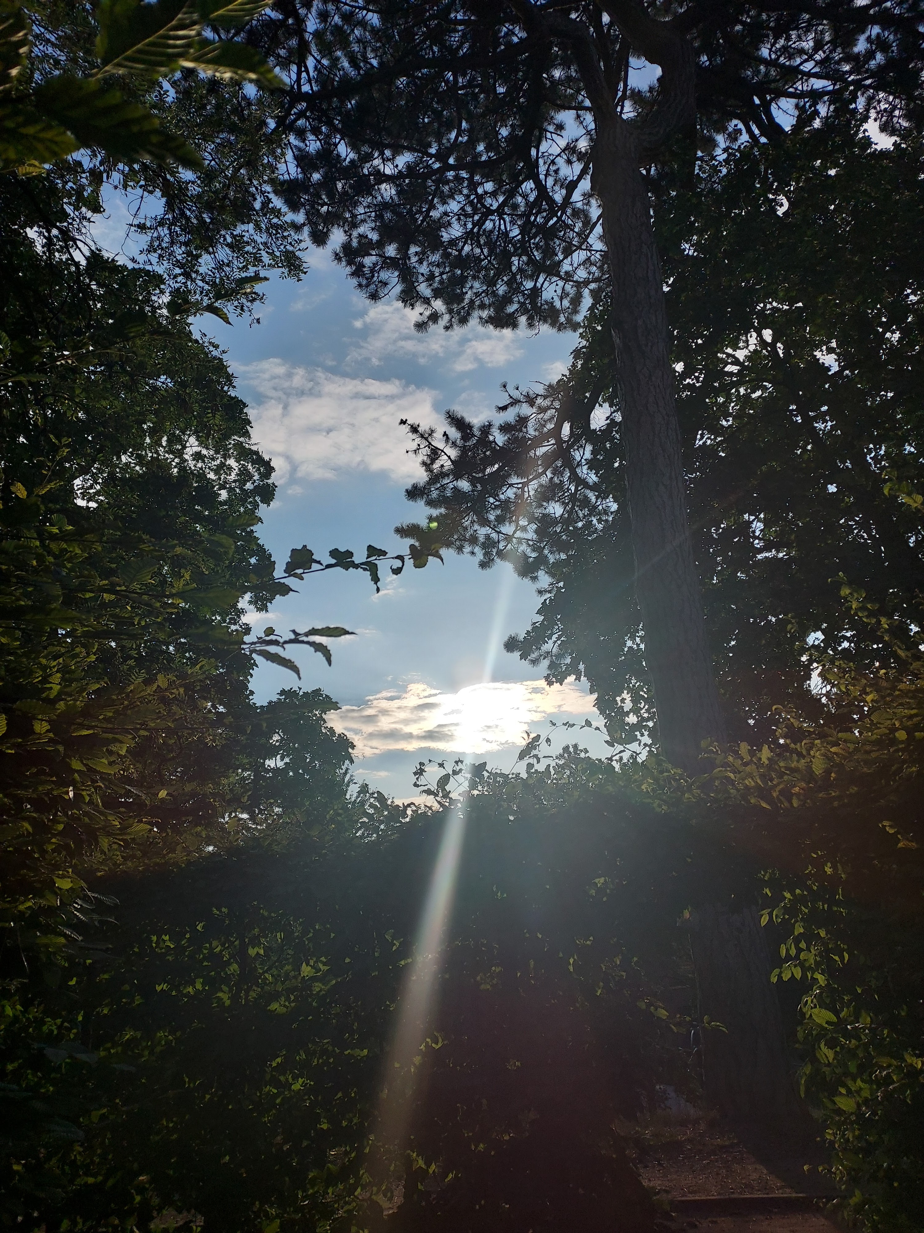 Photo n° 5 de l'avis de Isabelle.a fait le 04/07/2023 à 18:20