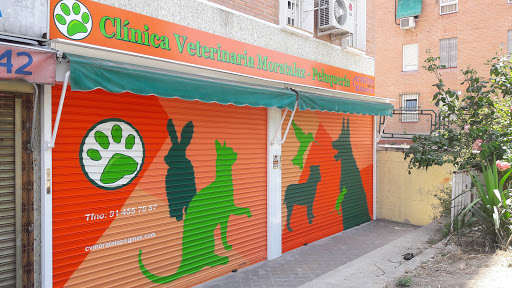 Clínica Veterinaria Moratalaz en Madrid