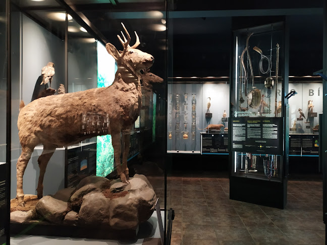 Opiniones de Museo de Historia Natural de Concepción en Concepción - Museo