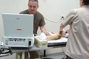 Kysucká veterinárna prax image