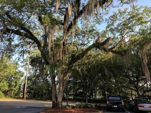 American Restaurant «Cracker Barrel Old Country Store», reviews and photos, 2920 Hospitality St, Tallahassee, FL 32303, USA
