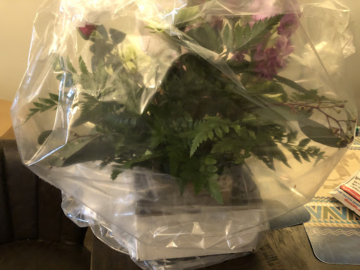 Florist «Wickliffe Flower Barn», reviews and photos, 28707 Euclid Ave, Wickliffe, OH 44092, USA