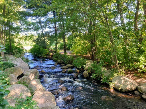 State Park «Borderland State Park», reviews and photos, 259 Massapoag Ave, North Easton, MA 02356, USA