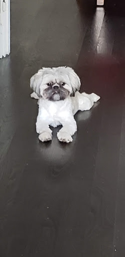 Pet Supply Store «Petco Animal Supplies», reviews and photos, 473 State Rd, North Dartmouth, MA 02747, USA