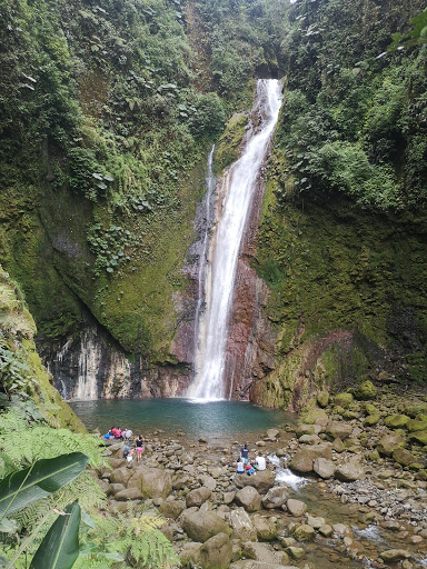 Waterfall Hidden Treasure