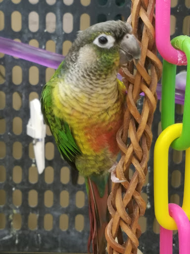 Pet Supply Store «PetSmart», reviews and photos, 8281 Troy Pike, Huber Heights, OH 45424, USA