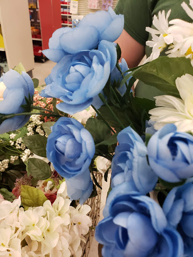 Craft Store «Michaels», reviews and photos, 10352 E US Hwy 36, Avon, IN 46123, USA