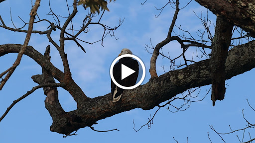 Battle Site «Fort Donelson National Battlefield», reviews and photos, 120 Lock D Rd, Dover, TN 37058, USA