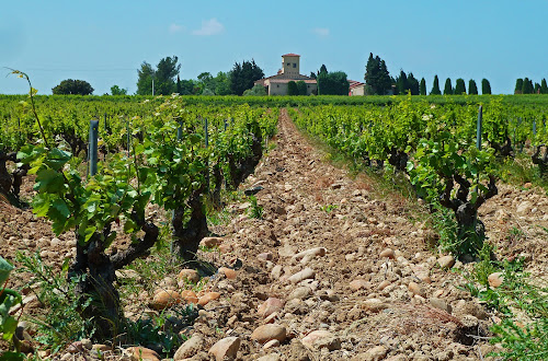 attractions Château Cabrières SCEA Châteauneuf-du-Pape