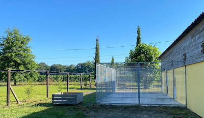 Pension canine de la Cuadrilla à Orthevielle