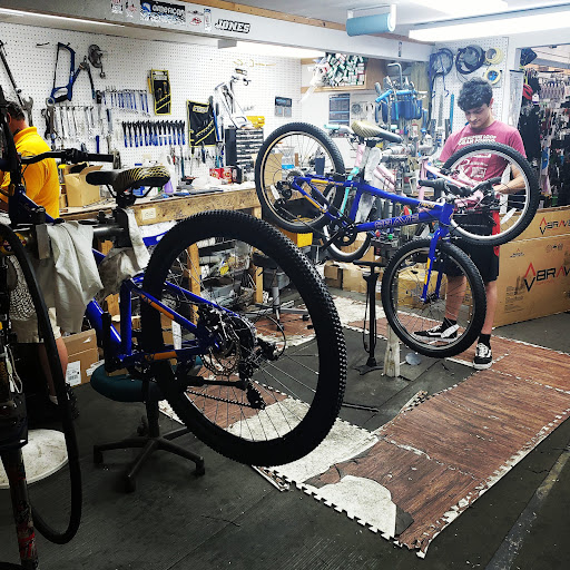 Bicycle Store «Element Sports», reviews and photos, 2009 S Loudoun St, Winchester, VA 22601, USA