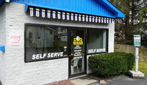 All*Star Auto and Pet Wash