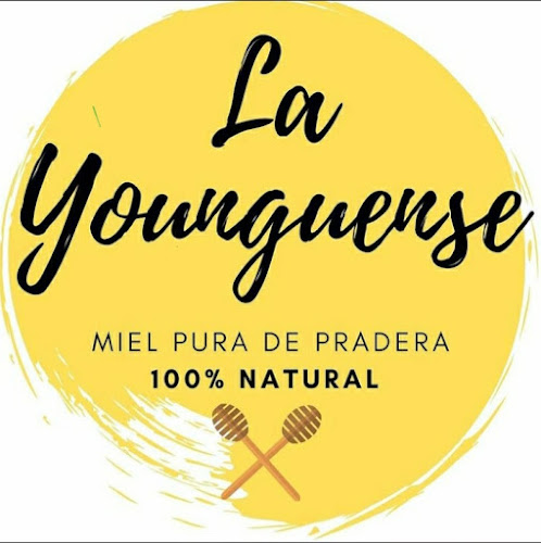 Miel natural La Younguense - Tienda de ultramarinos