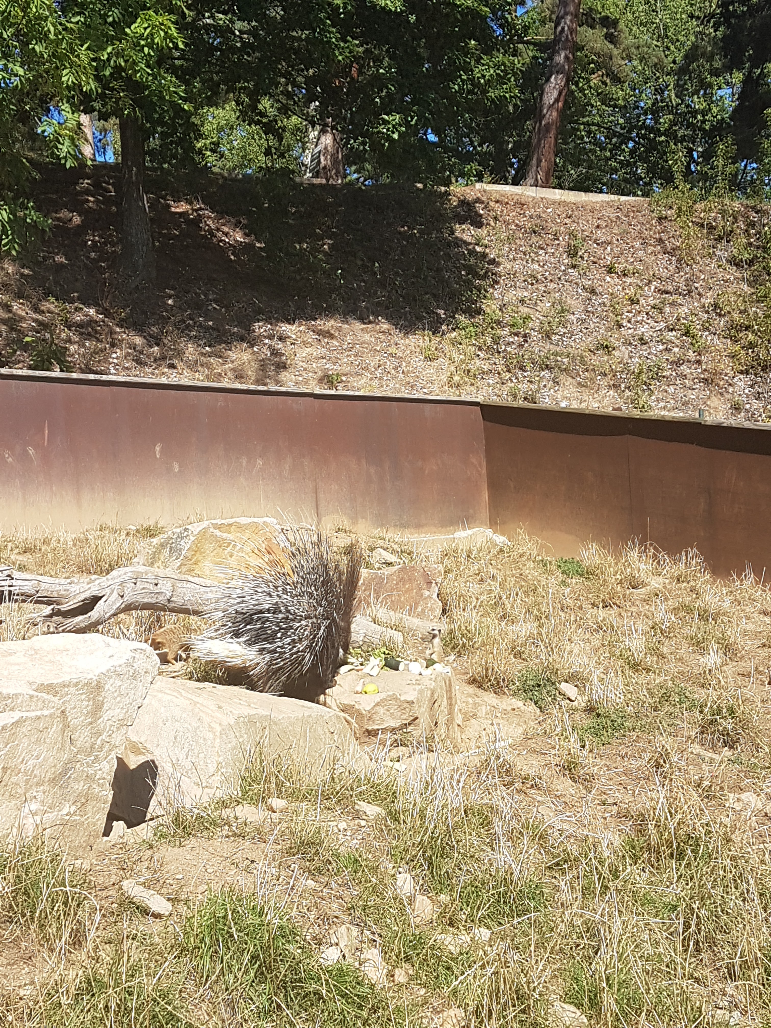 Photo n° 6 de l'avis de Myriam.o fait le 25/08/2019 à 11:46