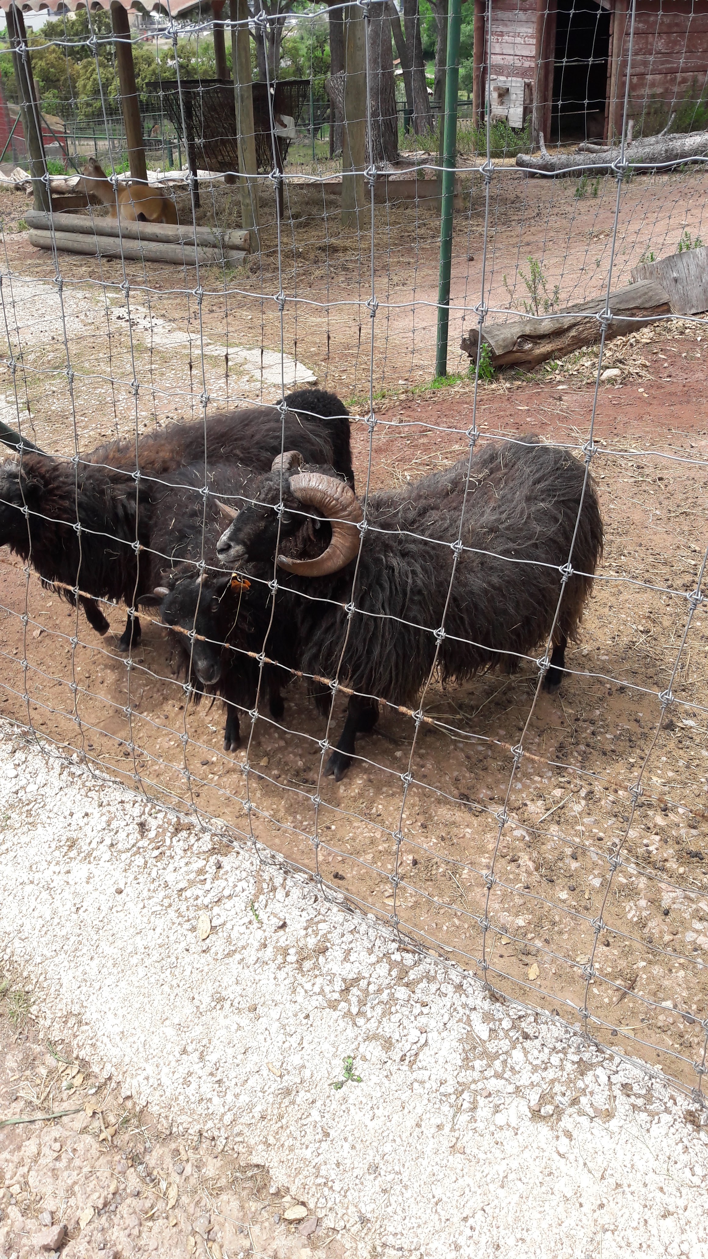 Photo n° 8 de l'avis de Laurence. fait le 09/05/2018 à 15:40