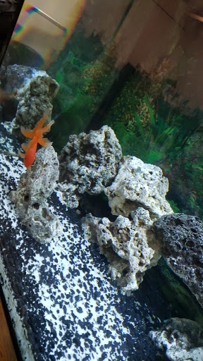 Pet Supply Store «Pet Supplies Plus», reviews and photos, 2057 S Telegraph Rd, Bloomfield Hills, MI 48302, USA