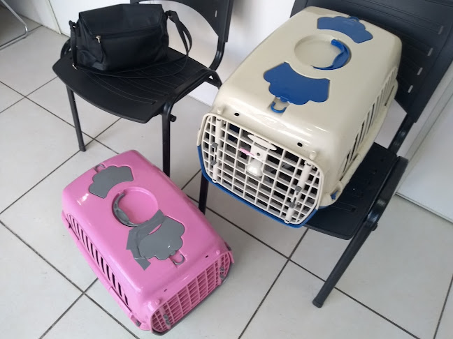 Veterinária Vet Master - Rio de Janeiro