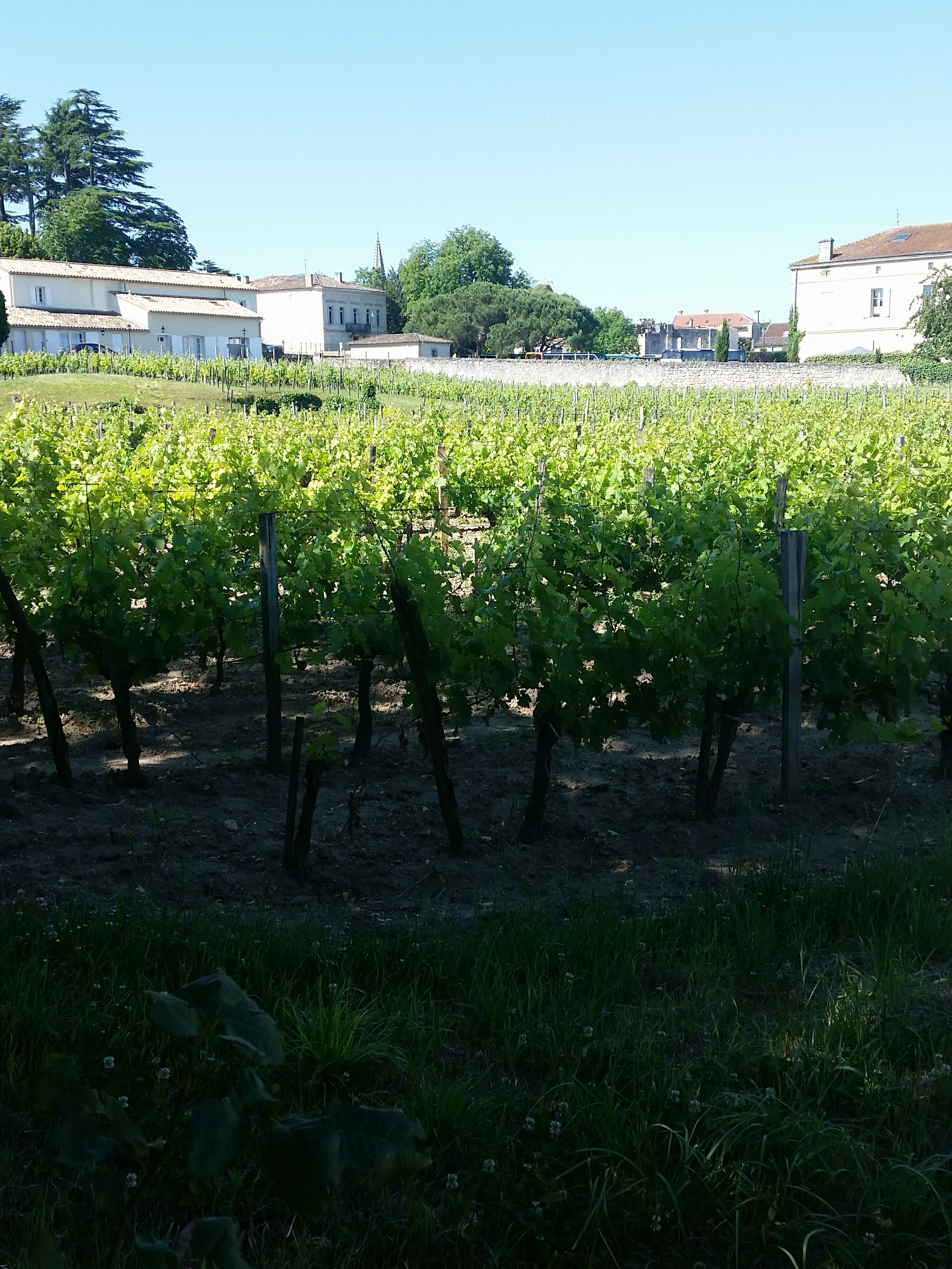 Photo n° 2 de l'avis de Nick. fait le 06/06/2017 à 09:56