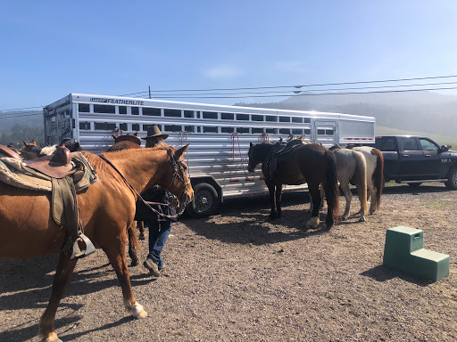 Stable «Ross Ranch», reviews and photos, 28300 Philo Greenwood Rd, Elk, CA 95432, USA