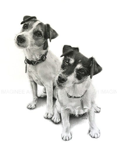 Photos of VETERINARY CLINIC SITIVET