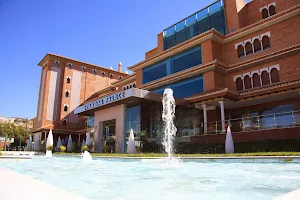 Hotel Granada Palace image