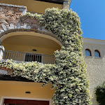 Photo n°1 de l'avis de jihed.a fait le 12/06/2023 à 18:33 sur le  Blu Hotel Morisco à Cannigione