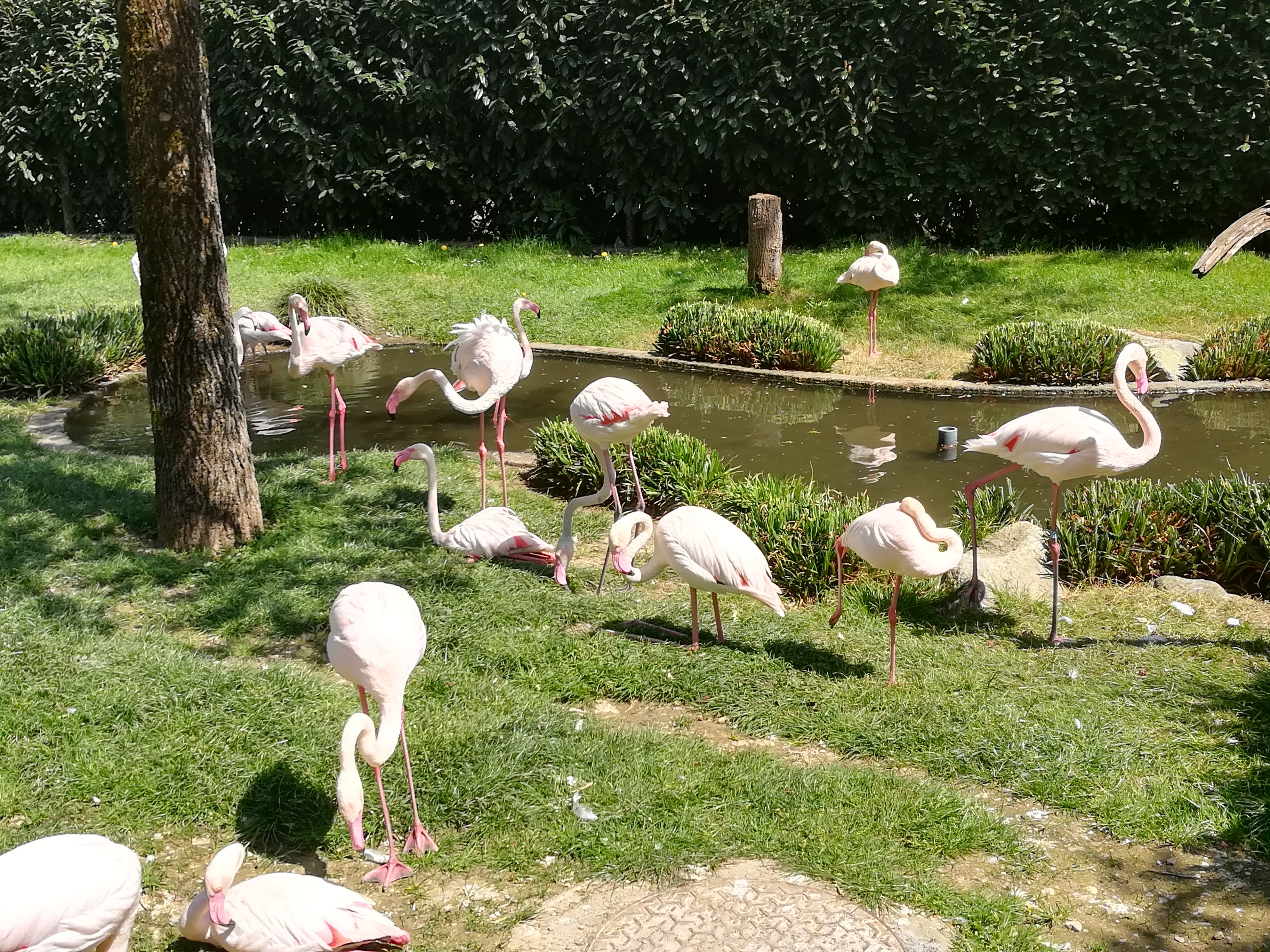 Photo n° 39 de l'avis de Sarah.L fait le 21/04/2018 à 18:44