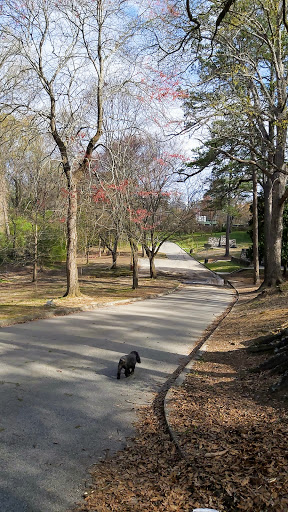 Park «Frankie Allen Park», reviews and photos, 100 Bagley St NE, Atlanta, GA 30305, USA