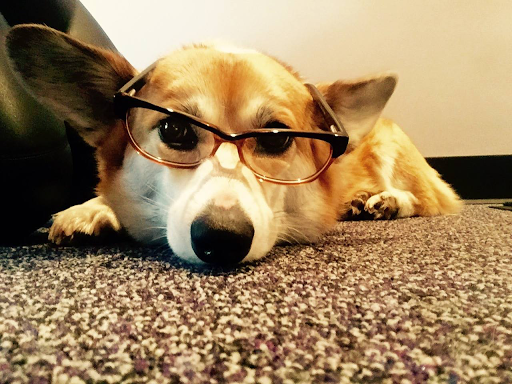 Eye Care Center «Family Vision Care Center», reviews and photos, 205 Lake Ave, Saratoga Springs, NY 12866, USA