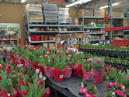 Department Store «Walmart Supercenter», reviews and photos, 440 Atlanta Hwy NW, Winder, GA 30680, USA