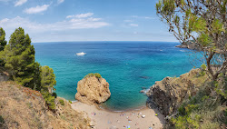 Foto di Platja de l'Illa Roja con più baie spaziose