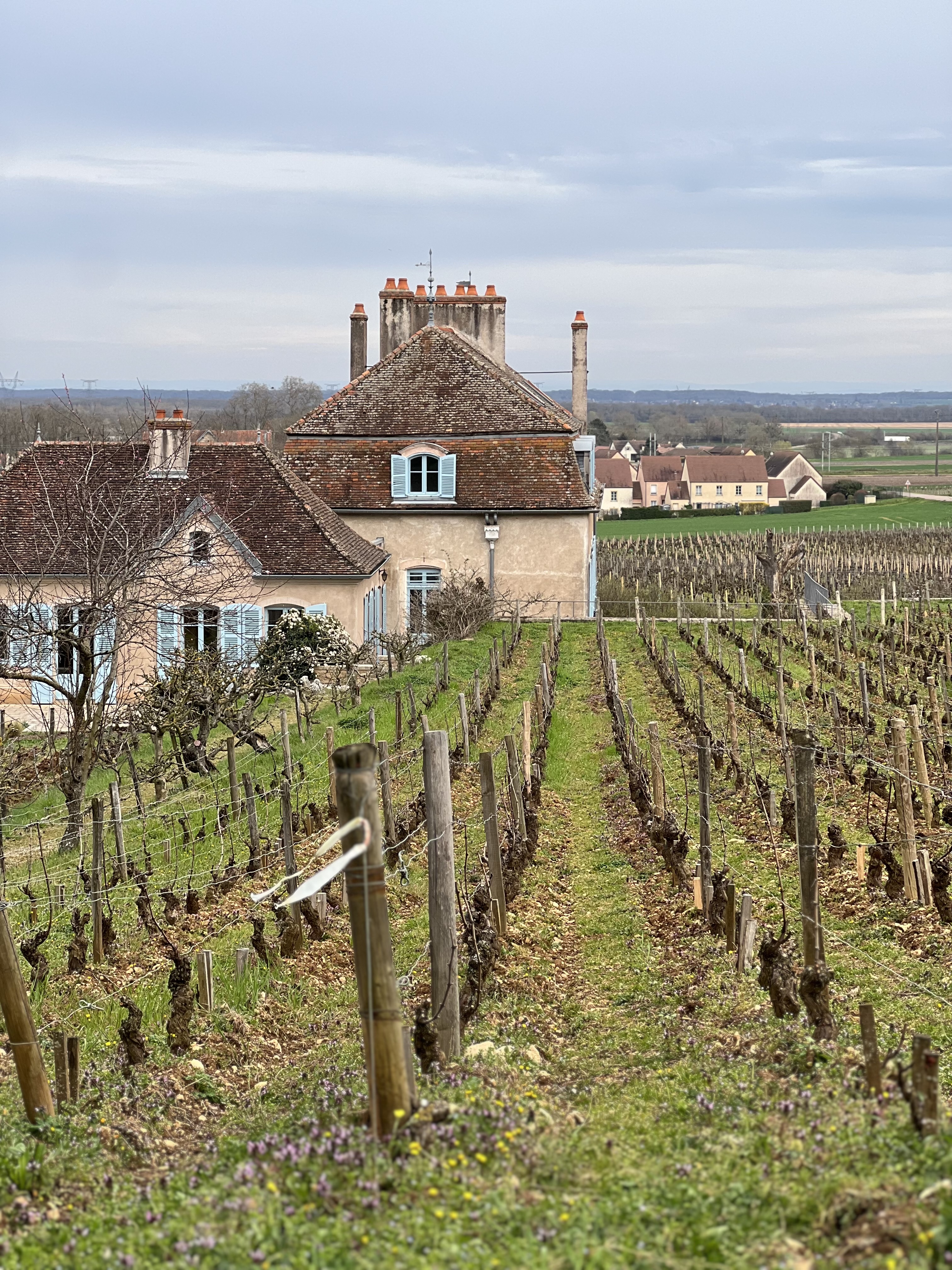 Photo n° 5 de l'avis de Sapir.a fait le 23/03/2023 à 16:14