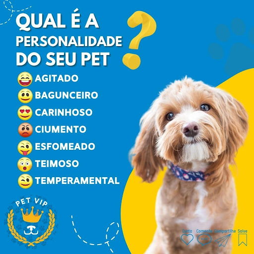 Logo da empresa - Pet Vip