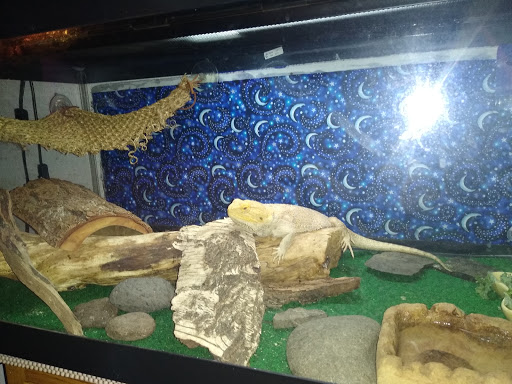 Pet Store «A to Z Pets», reviews and photos, 16010 SE Division St, Portland, OR 97236, USA