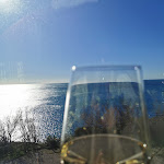 Photo n°2 de l'avis de Michela.u fait le 24/01/2024 à 17:36 sur le  Il Romito à Livorno