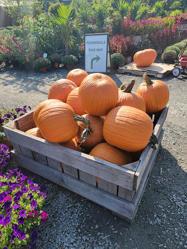 Garden Center «Nalls Produce», reviews and photos, 7310 Beulah St, Alexandria, VA 22315, USA