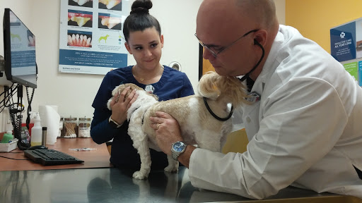 Pet Supply Store «PetSmart», reviews and photos, 7850 W Commercial Blvd, Lauderhill, FL 33351, USA