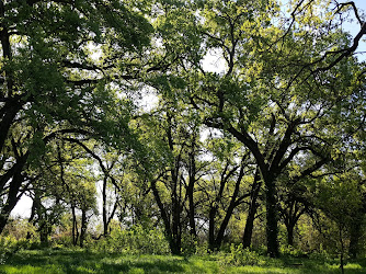 Bidwell-Sacramento River State Park