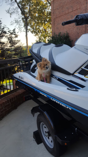 Motorcycle Dealer «Allsport Powersports Inc», reviews and photos, 2608 Beltline Rd SW, Decatur, AL 35601, USA