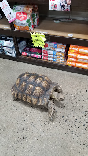 Pet Supply Store «Premier Pet Supply», reviews and photos, 31215 Southfield Rd, Beverly Hills, MI 48025, USA