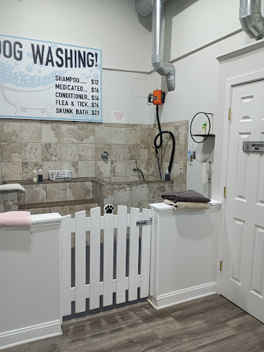 Pet Supply Store «The Natural Pet Outlet», reviews and photos, 3380 Fairfield Ave, Bridgeport, CT 06605, USA