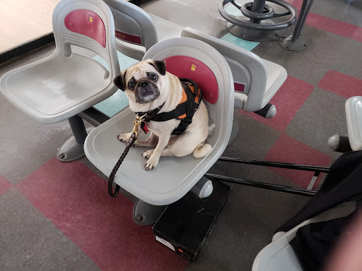 Bowling Alley «Tower Lanes», reviews and photos, 6323 6th Ave, Tacoma, WA 98406, USA