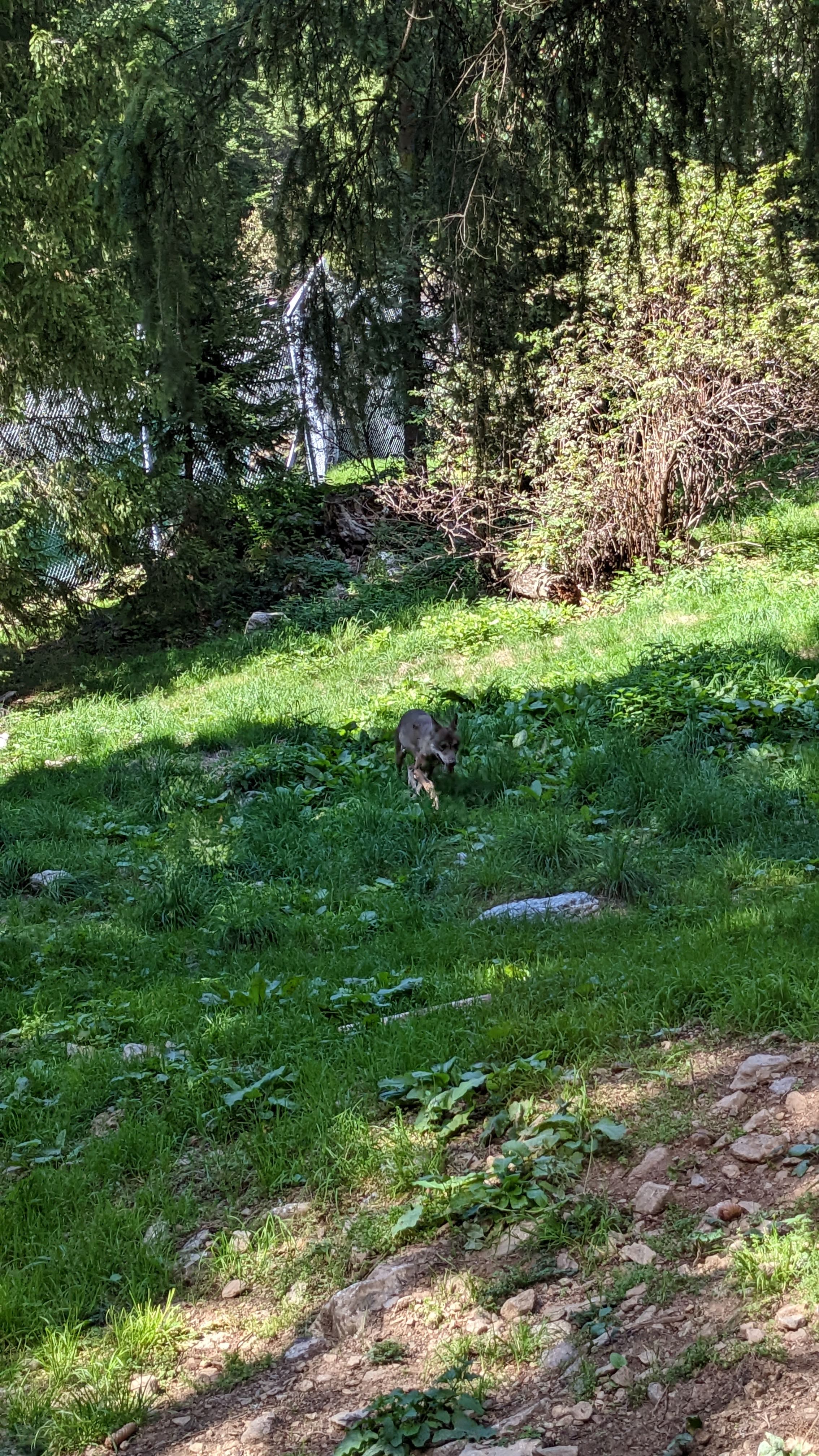 Photo n° 12 de l'avis de Florian.o fait le 11/09/2022 à 15:52
