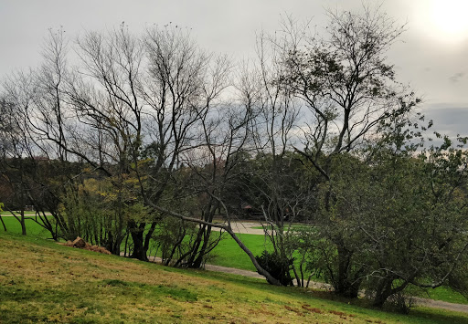 Museum «Larz Anderson Auto Museum», reviews and photos, 15 Newton St, Brookline, MA 02445, USA