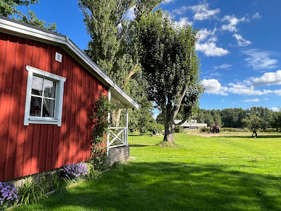 Nybo NYBO 1, 534 92 Tråvad, Sverige