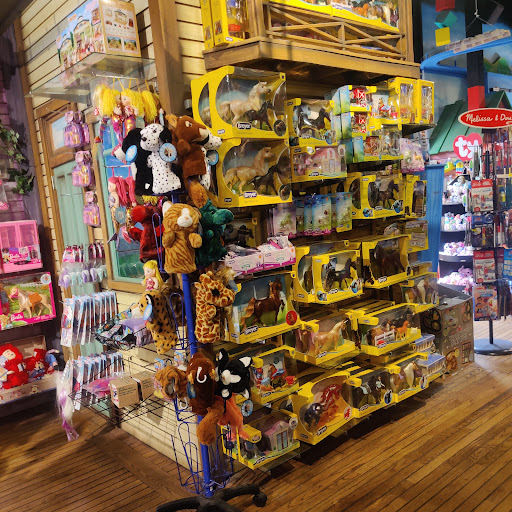 Toy Store «G. Willikers Toy Emporium», reviews and photos, 1113 Front St, Sacramento, CA 95814, USA