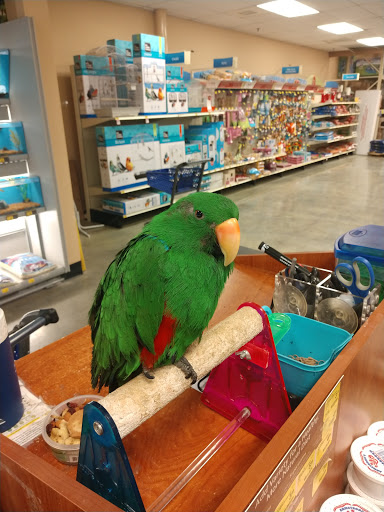 Pet Supply Store «PetSmart», reviews and photos, 2150 Paxton Ln SW, Lilburn, GA 30047, USA